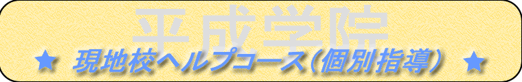 平成学院・現地校ヘルプコース（個別指導）